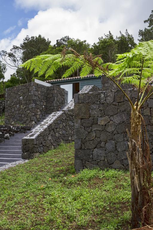 Villa O Farrobo à Madalena  Extérieur photo