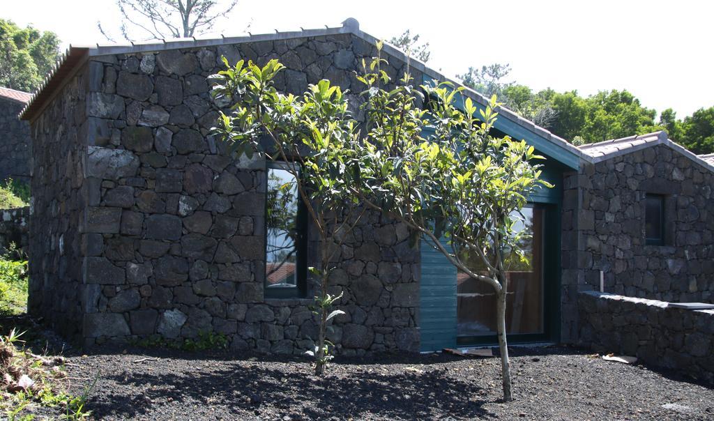 Villa O Farrobo à Madalena  Extérieur photo