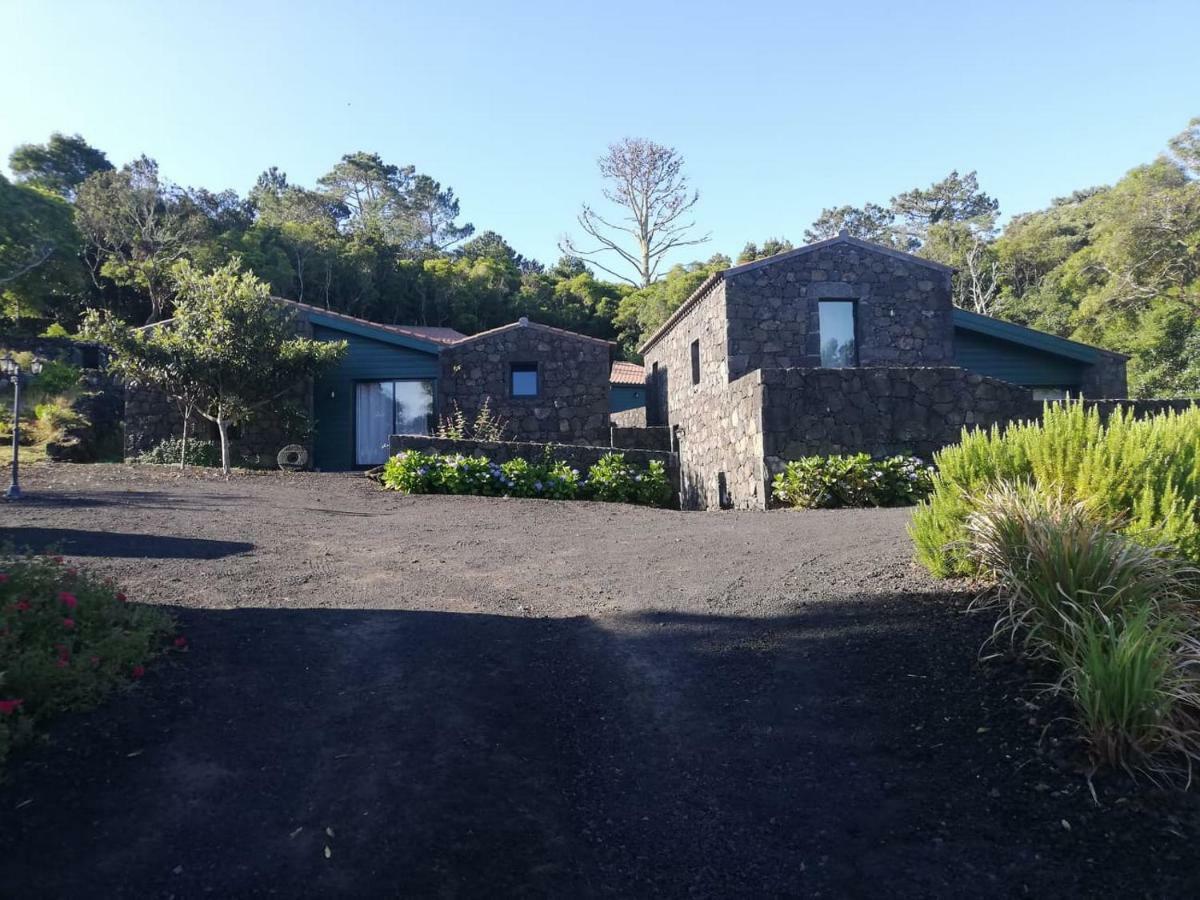 Villa O Farrobo à Madalena  Extérieur photo